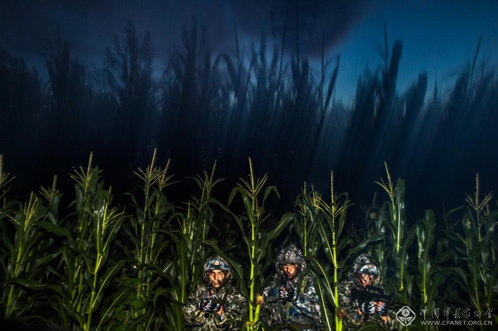 赵云-2017年8月，解放军华北某部组织了警勤业务夜间训练。十八大后，部队从实战出发，加大了训练难度和强度，全面提升部队实战化能力.jpg