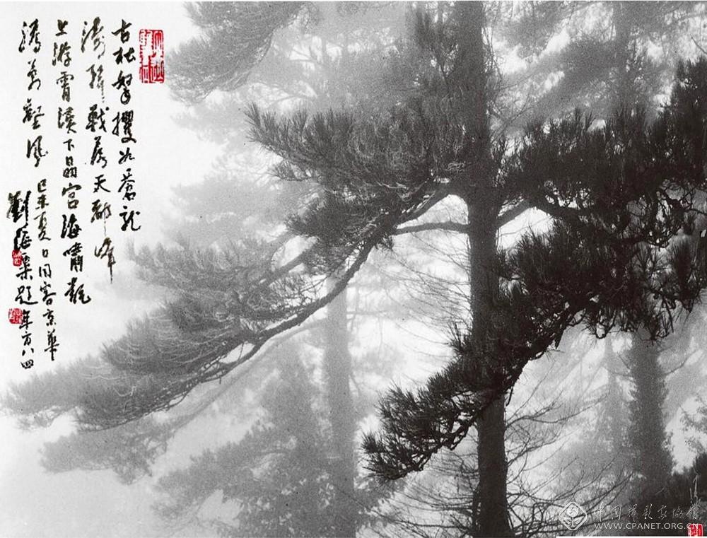 苍涛，1978 年    陈复礼 摄.jpg