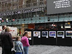 The Opening Ceremony of ‘Chinese Dream’in Sydney