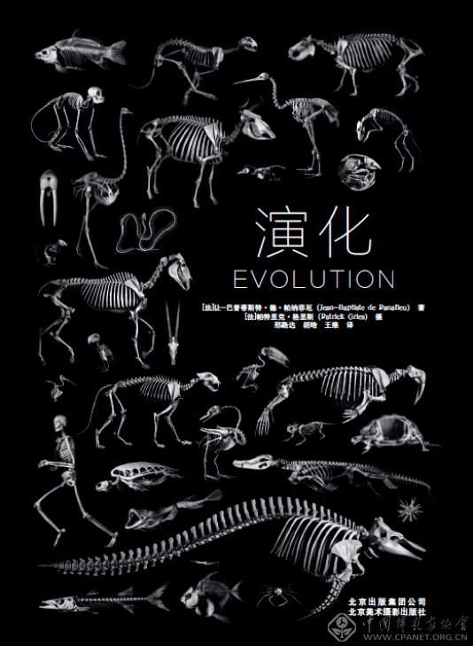以类型学式摄影揭示生命史——《演化》即将出版