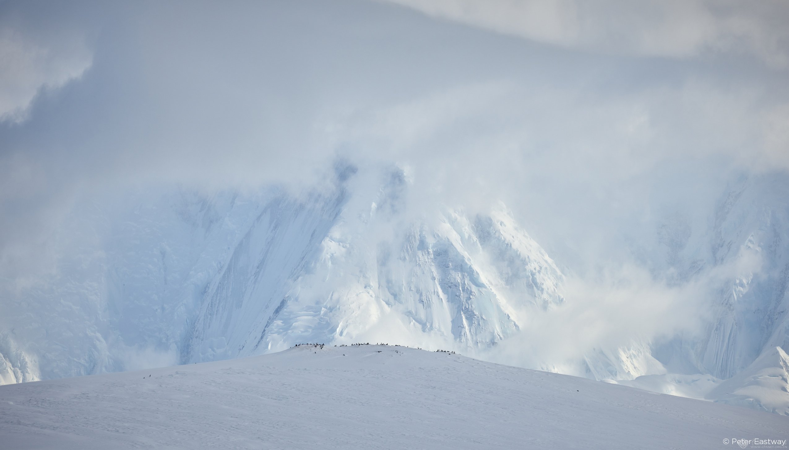 告别拼接图片的烦恼——飞思展示一亿像素样片