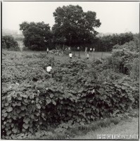 Takahiro Yamashita：《寻迹多摩川》