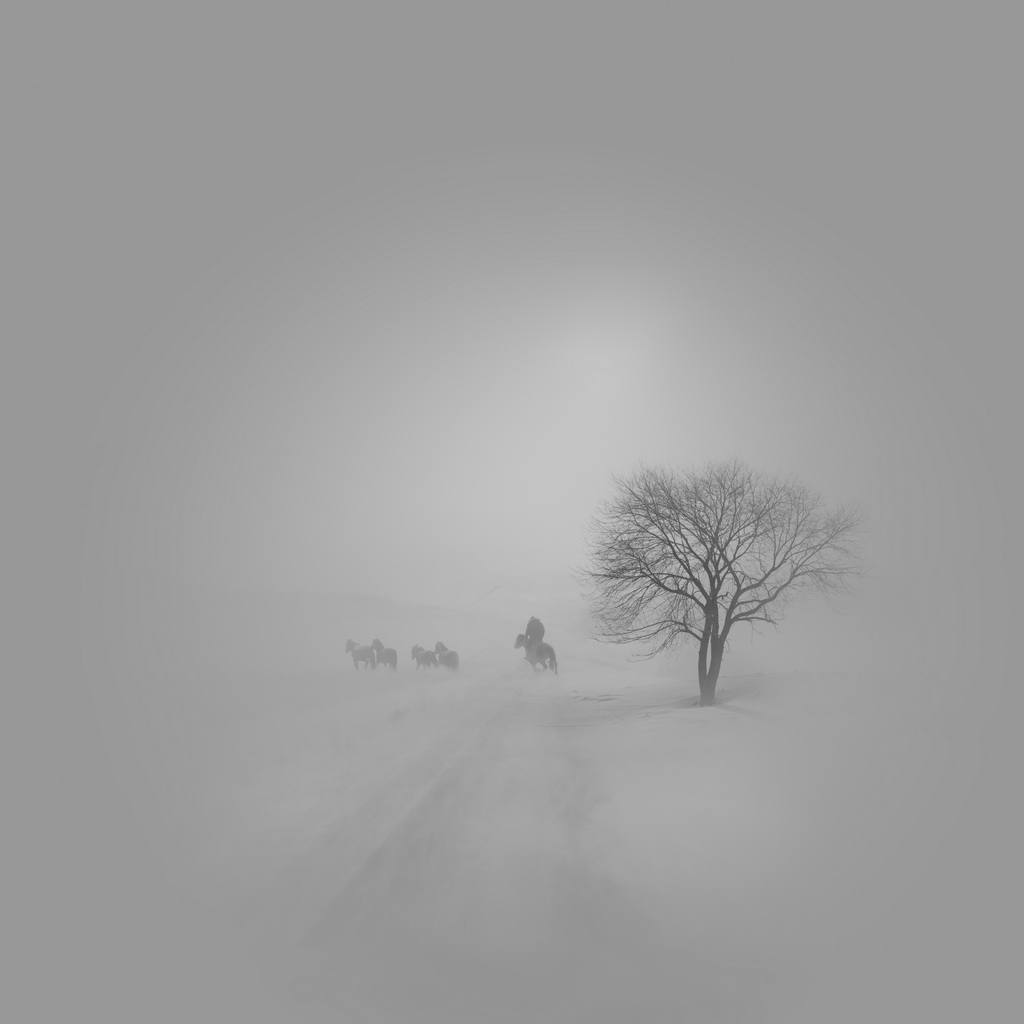 丁剑鸣：荒原一树雪烟轻