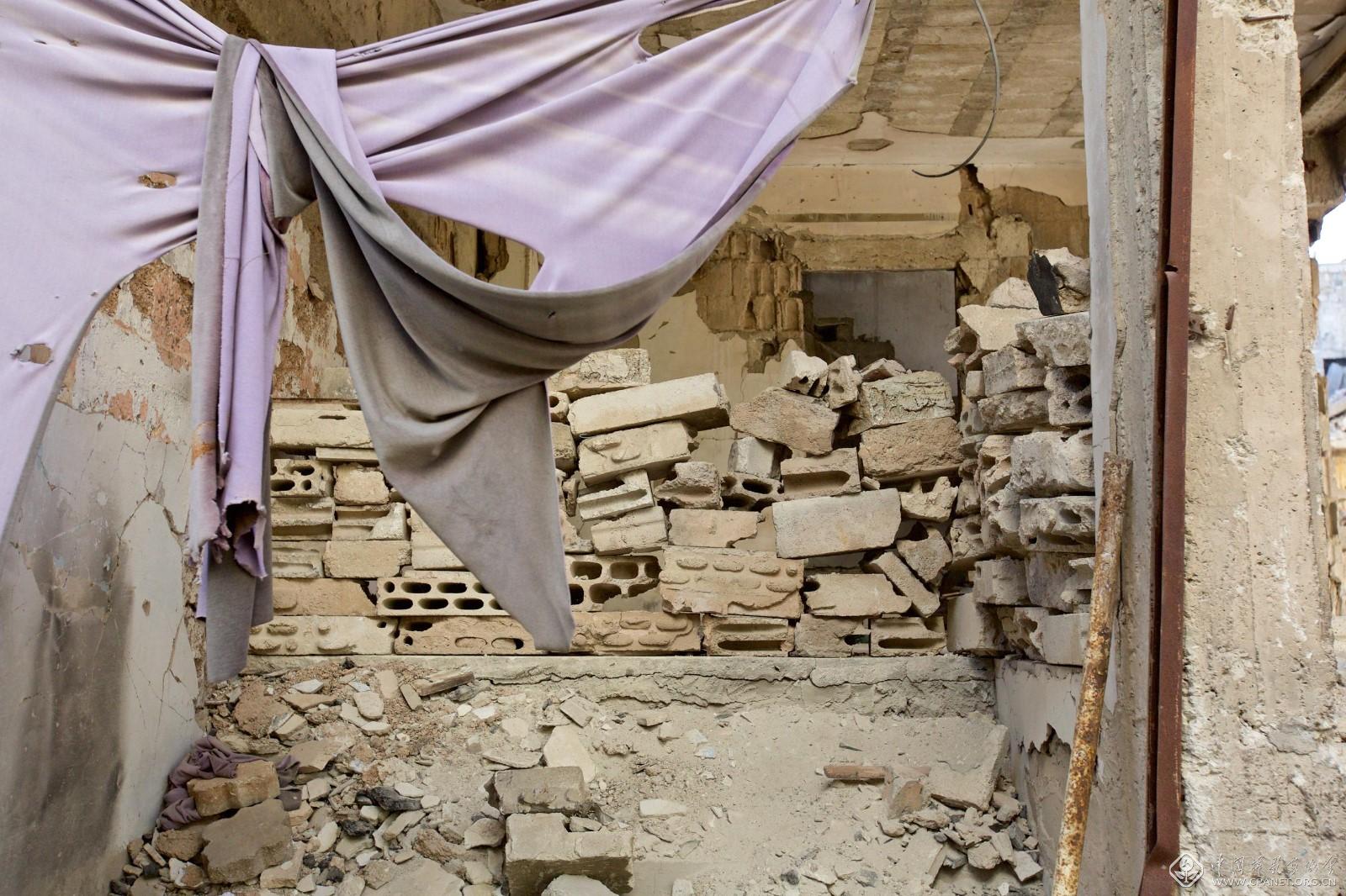 一名中国女青年的叙利亚战地摄影日记(二)