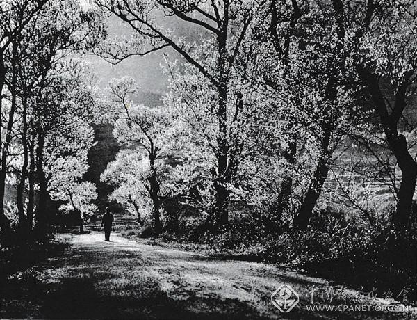 陈复礼首次影展回顾--中国摄影家协会网