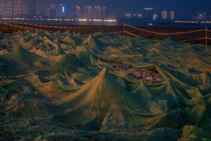 王泽瑛：《游离集》