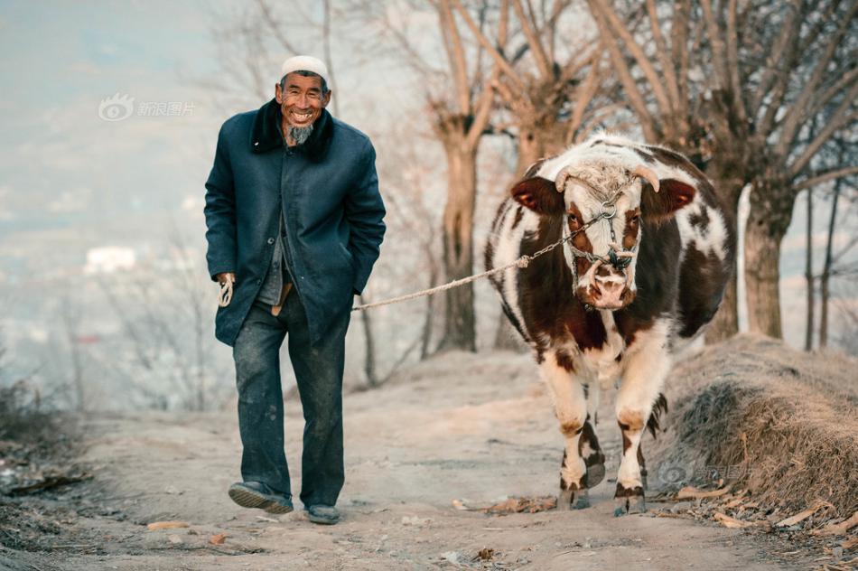 因本地条件有限,当地年轻人大多选择了外出务工,只留下老人在家与牛羊