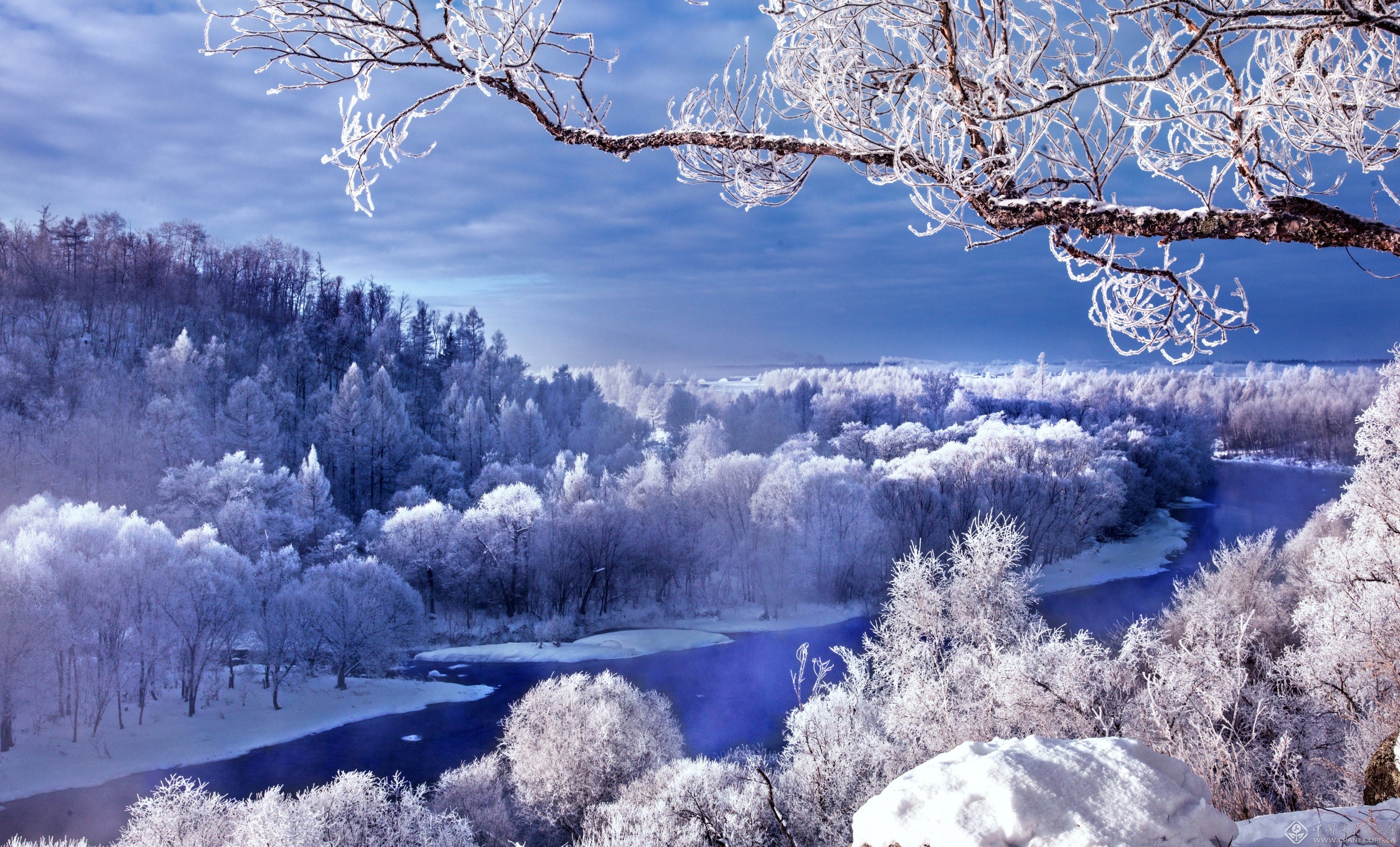 冬天雪树风景桌面壁纸-壁纸图片大全