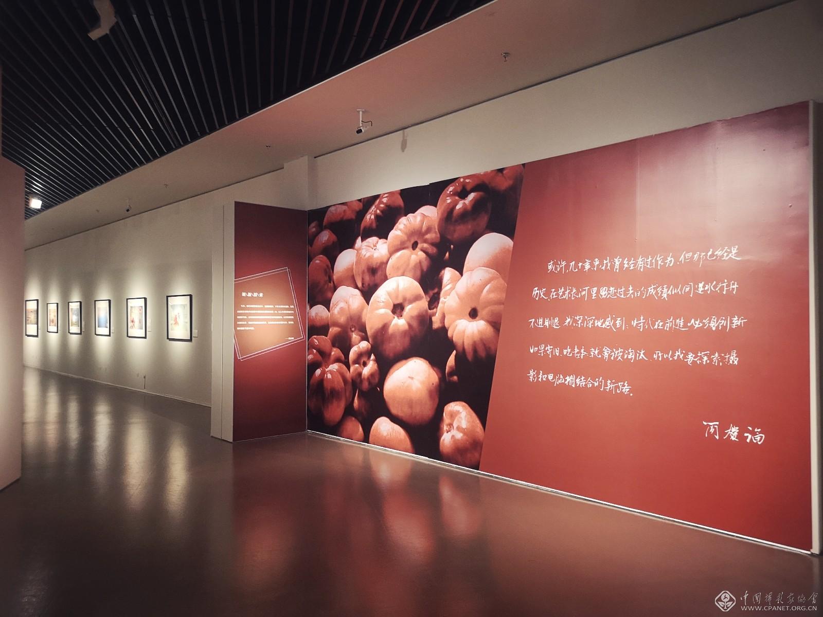 光影岁月|108幅简庆福摄影作品在中华艺术宫长期展出