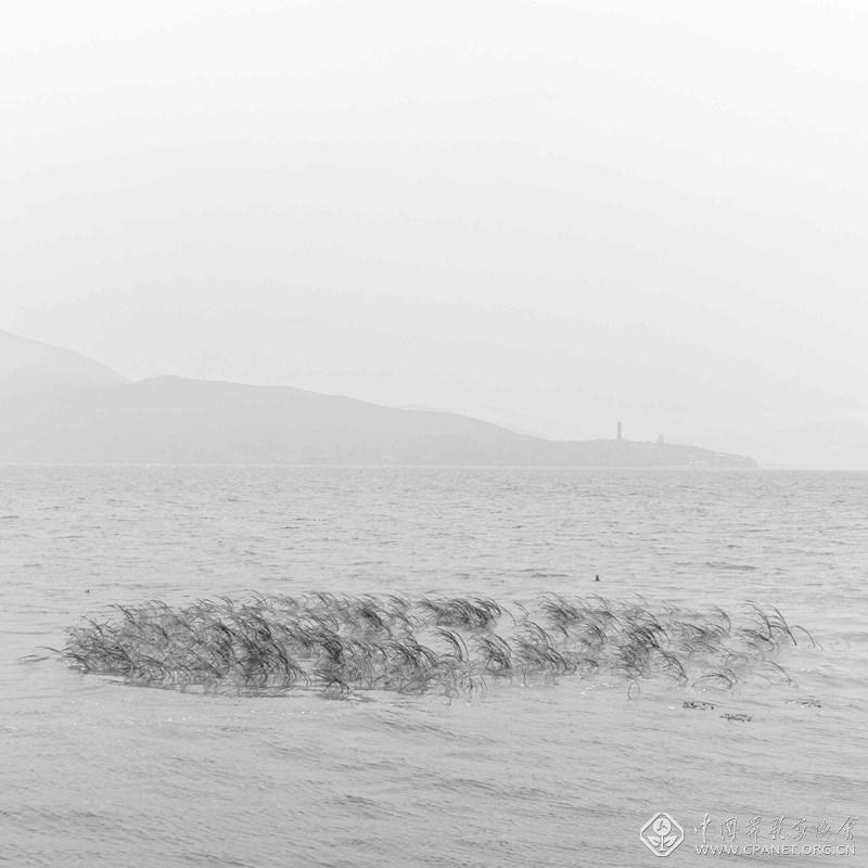 日常-时间的旷野 |黎光波：《我前方一米》