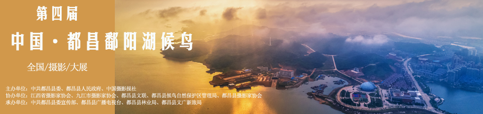 第四届中国·都昌鄱阳湖候鸟全国摄影大展征稿启事--中国摄影家协会网
