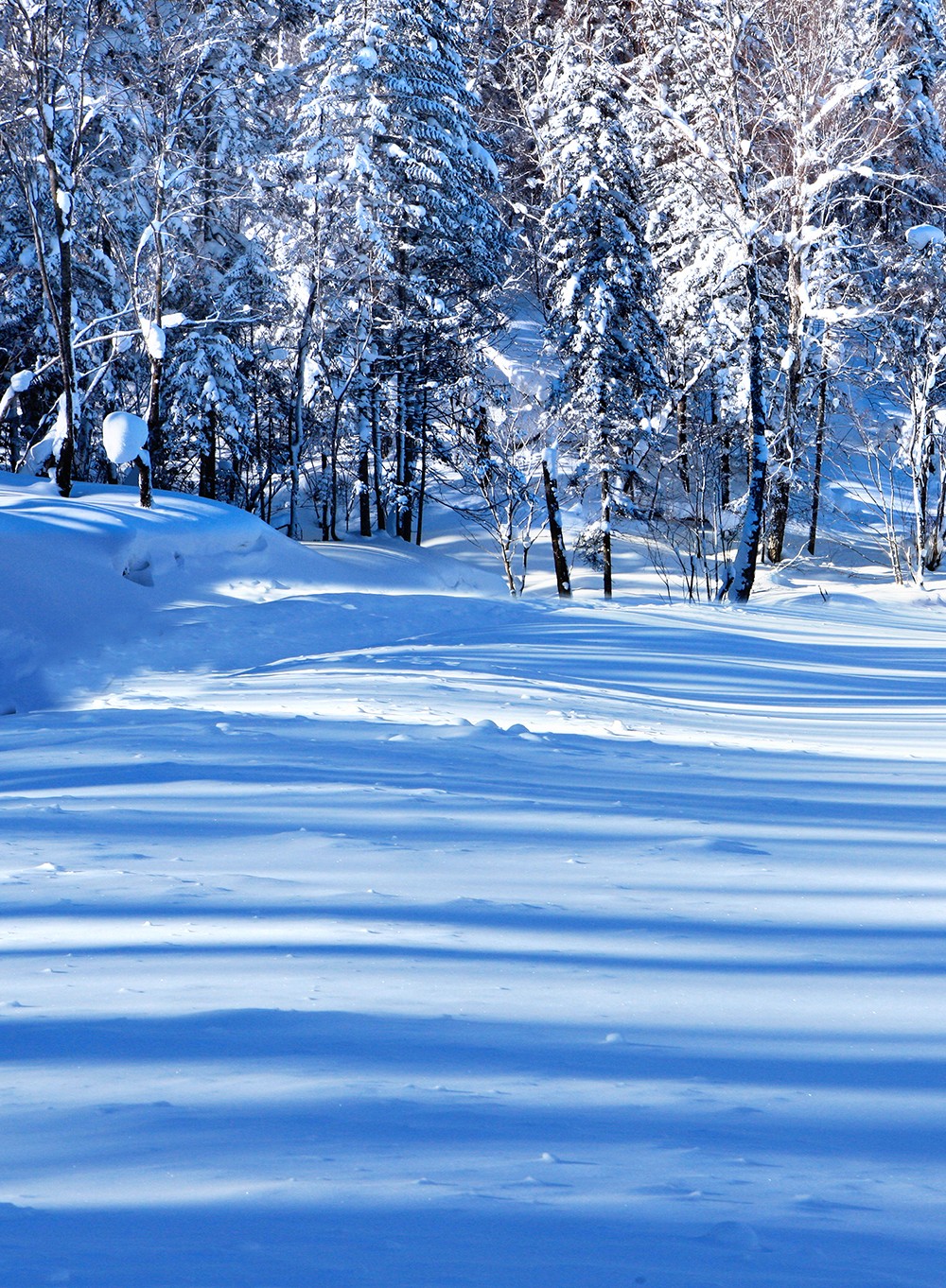 卞永平黑龙江亚雪公路冰雪情怀