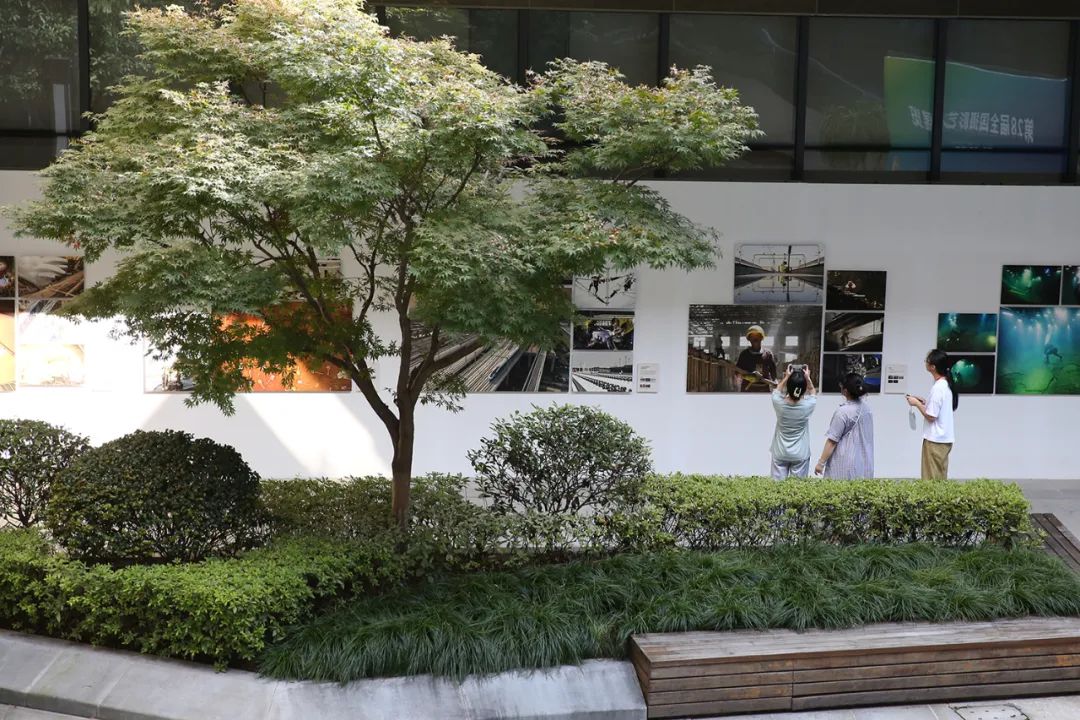 第28届全国摄影艺术展览亮相临海 “云上展馆”首次上线--中国摄影家协会网