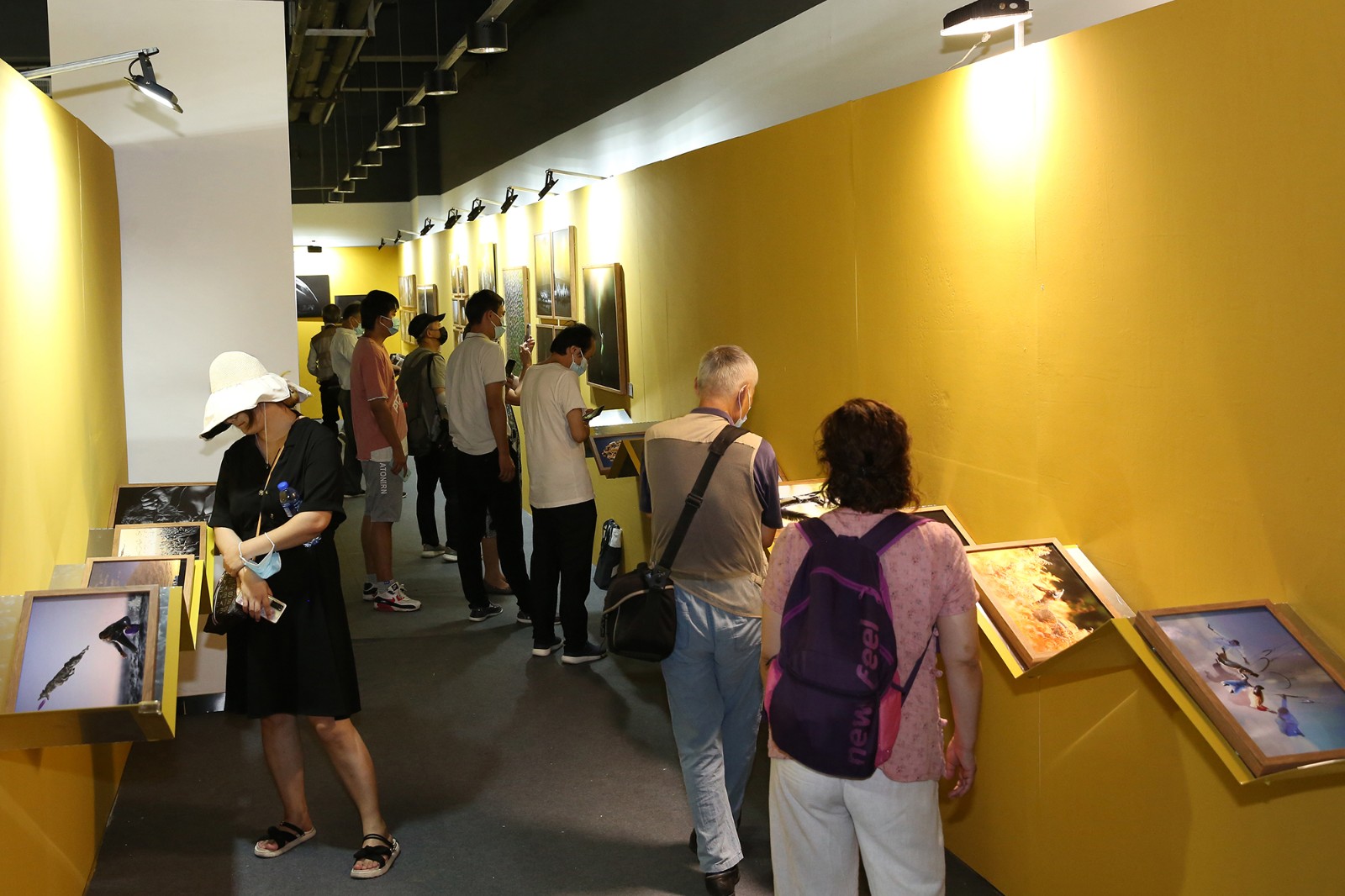 中国第18届国际摄影艺术展览现场。张双双 摄 (8).JPG