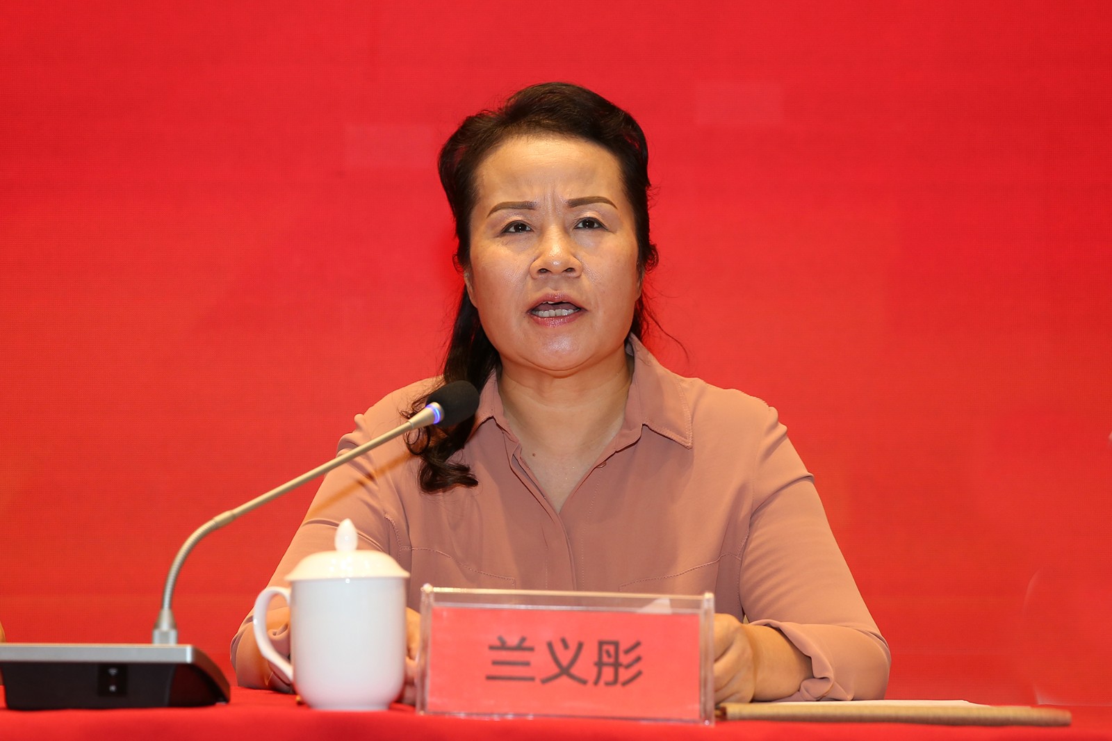 兰义彤致辞.JPG