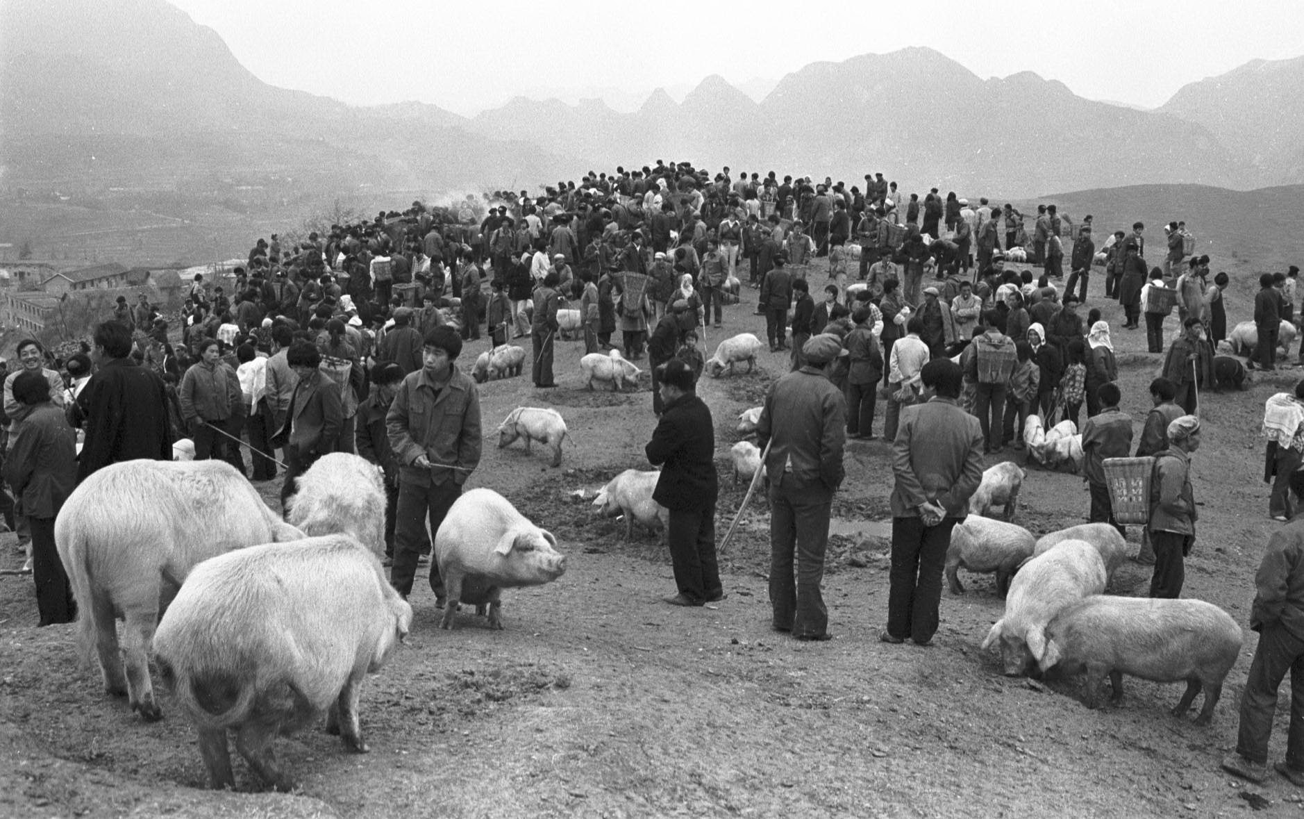1987年12月，贵州纳雍，大山下的生猪集市。.jpg