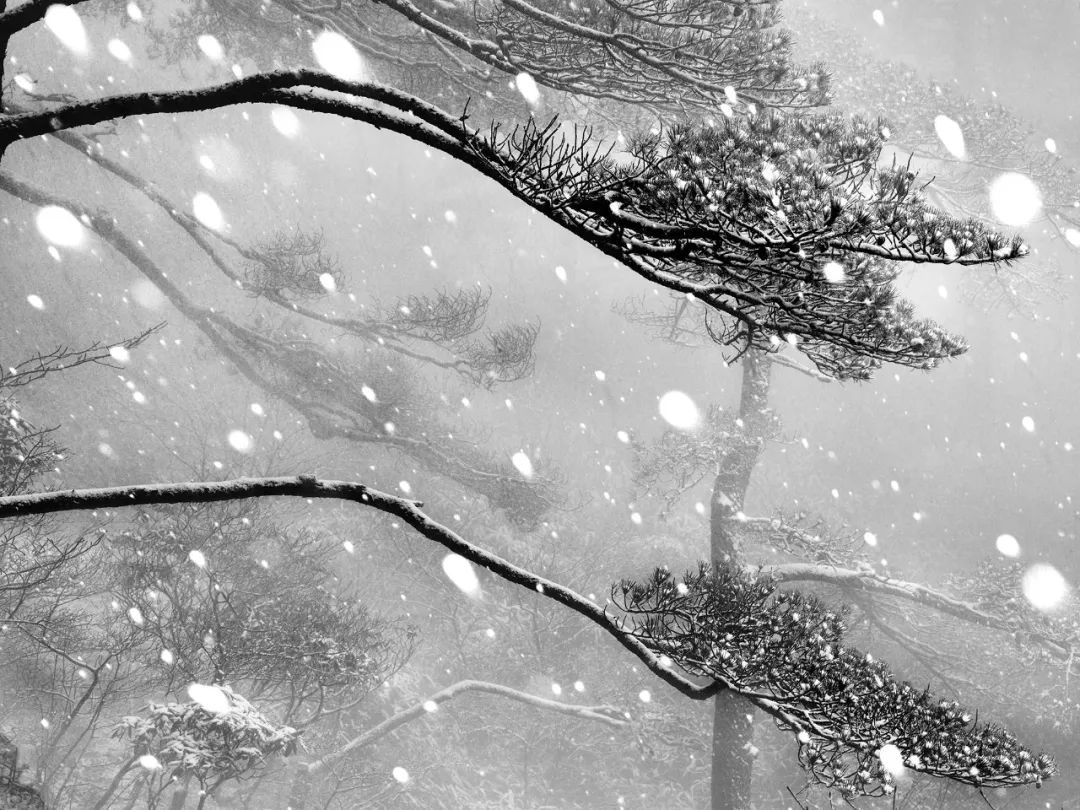 繁花竞放——深入生活扎根人民十年摄影精品展