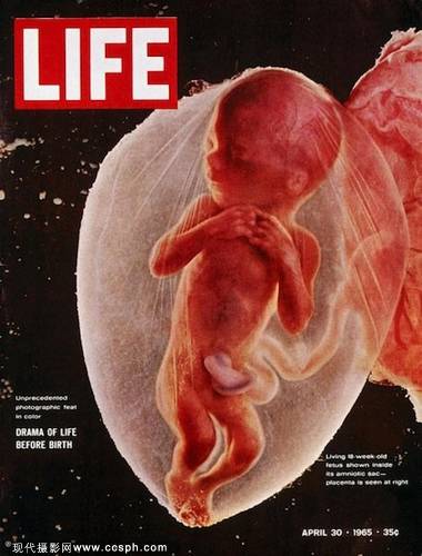 细数life杂志经典封面