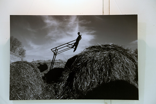 来自傅拥军《西湖边的一棵树》《快拍365》中的精彩作品#p#副标题#e