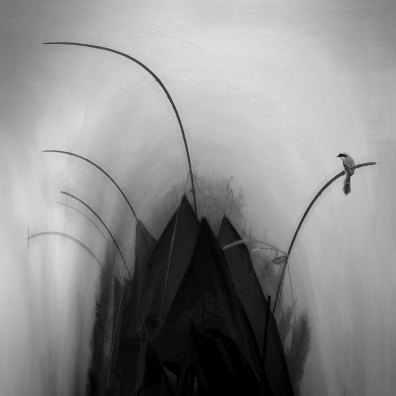 优秀收藏·物色空蒙