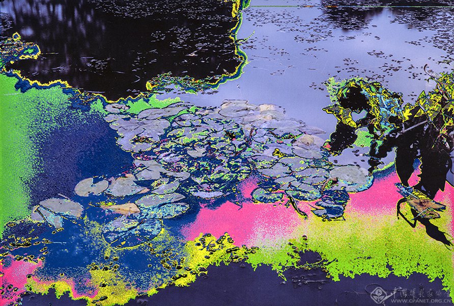 百年印象画廊看青朋如何变相