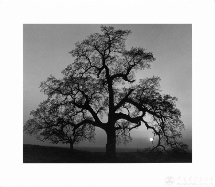 p#副标题#e#《德国色彩》影像艺术联展